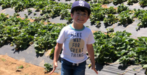 Child Nutrition: Healthy Begins at Home