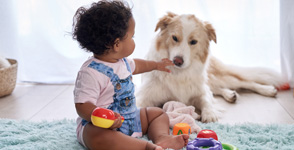 Introducing Your Dog To Your Baby