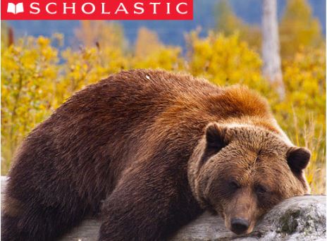 Scholastic Learn at Home
