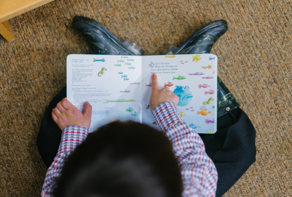 boy reading book about fish